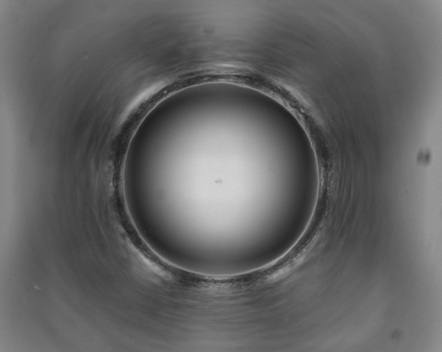 X0000091221402200708161647