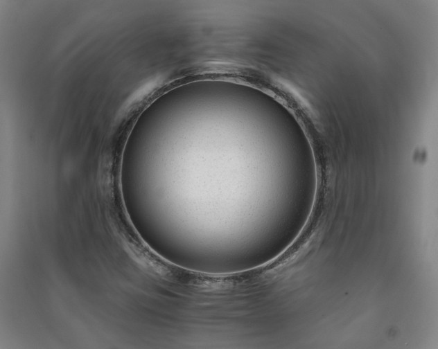 X0000091221403200708161647