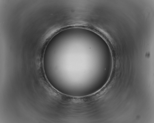 X0000091221407200708161647