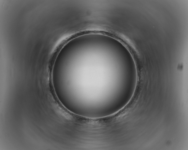 X0000091221408200708161647