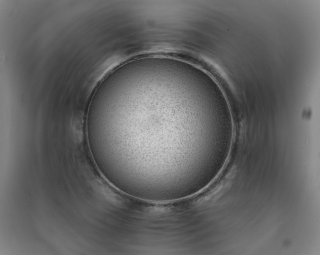 X0000091221409200708161647