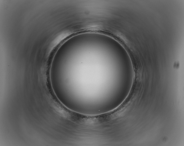 X0000091221410200708161647