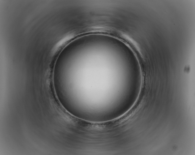 X0000091221411200708161647