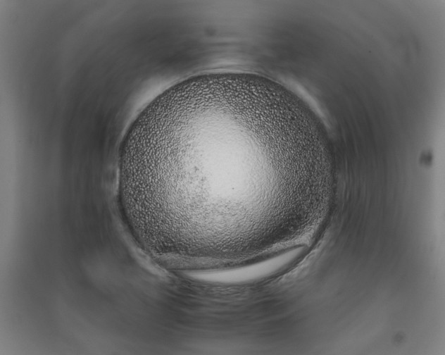 X0000091221413200708161647