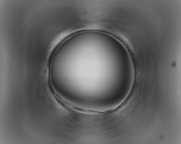 X0000091221414200708161647