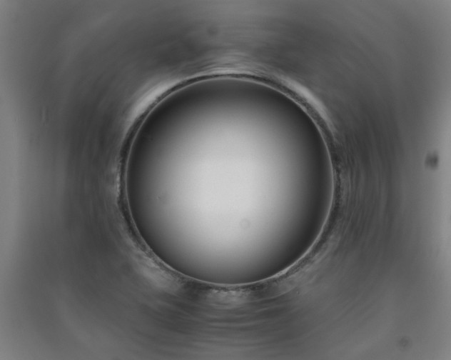 X0000091221415200708161647