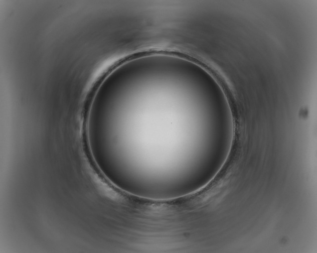 X0000091221416200708161647