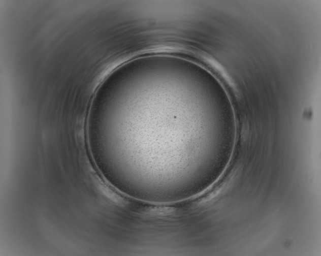 X0000091221417200708161647