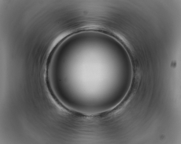 X0000091221418200708161647