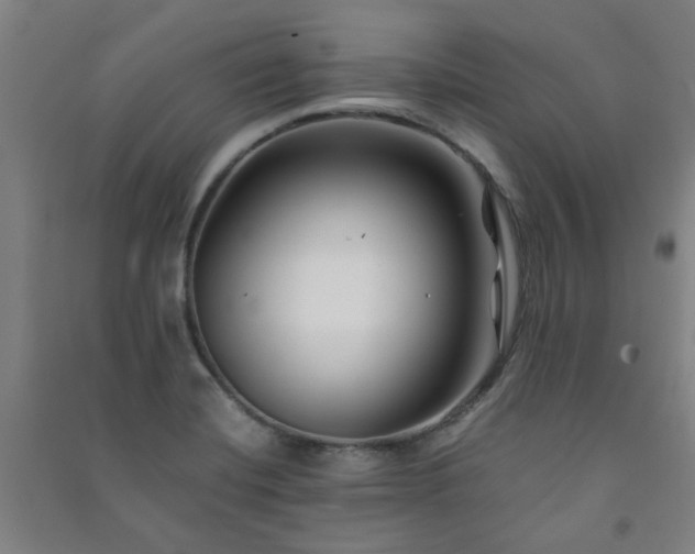 X0000091221420200708161647