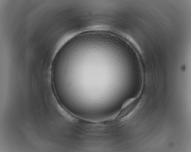 X0000091221421200708161647