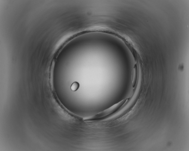 X0000091221422200708161647