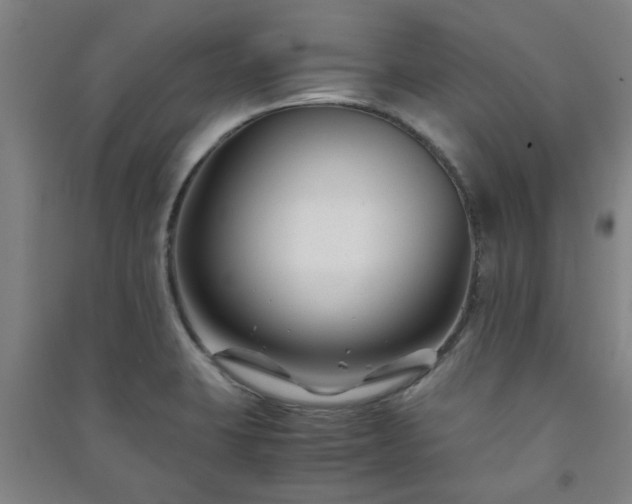 X0000091221423200708161647