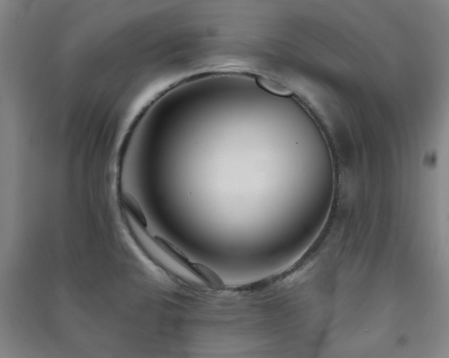 X0000091221424200708161647