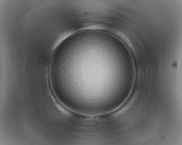 X0000091221425200708161647