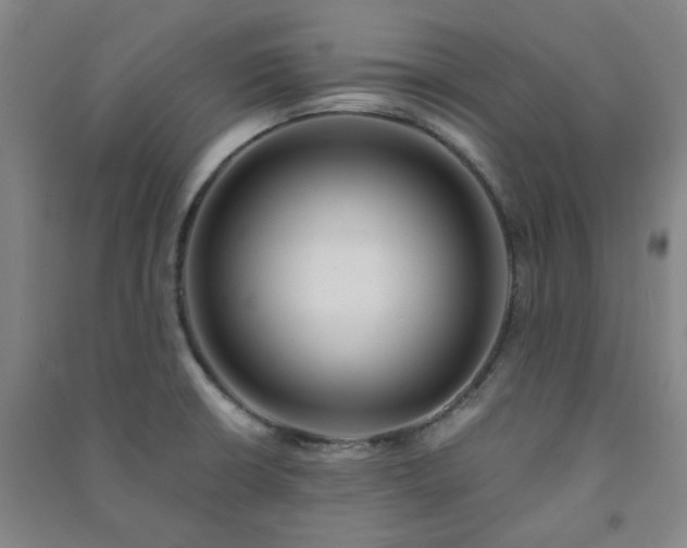 X0000091221426200708161647