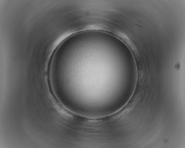 X0000091221427200708161647