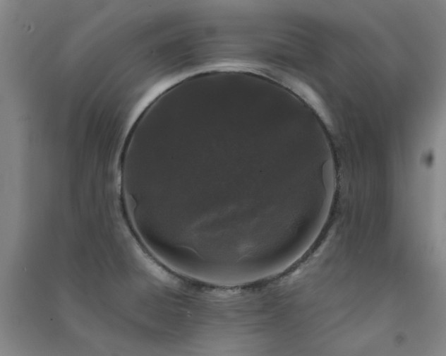 X0000091221428200708161647