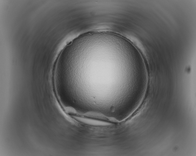 X0000091221429200708161647