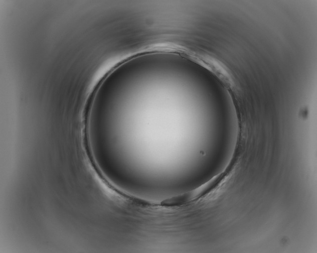 X0000091221430200708161647