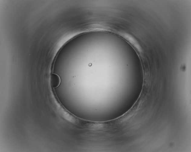 X0000091221431200708161647