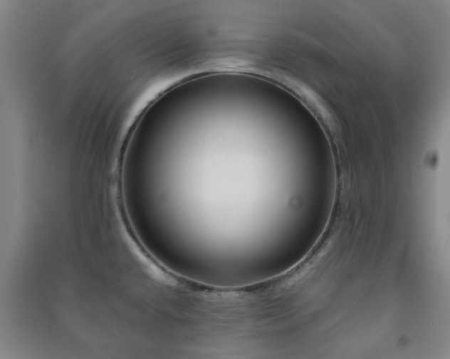 X0000091221432200708161647