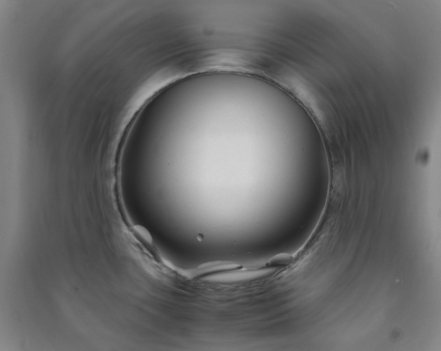 X0000091221435200708161647