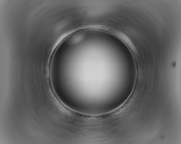 X0000091221436200708161647