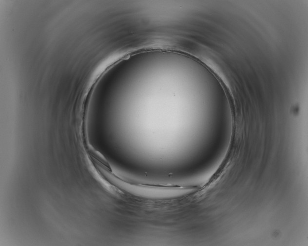 X0000091221437200708161647