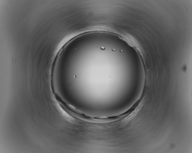 X0000091221438200708161647