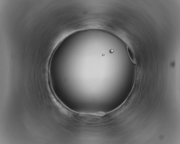 X0000091221439200708161647