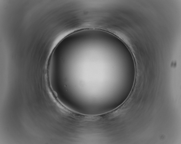 X0000091221440200708161647