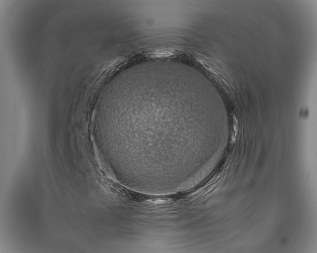 X0000091221441200708161646