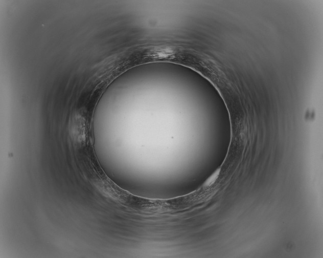 X0000091221442200708161646