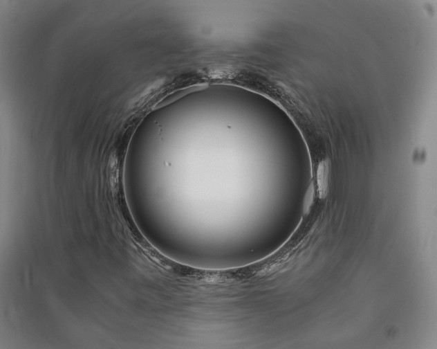 X0000091221443200708161646