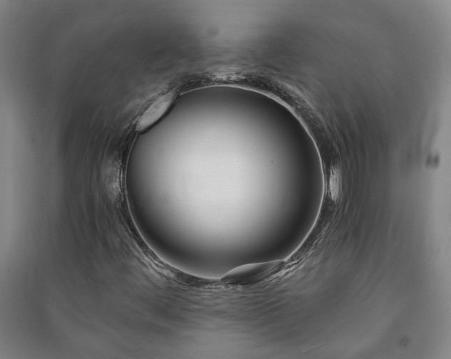 X0000091221444200708161646