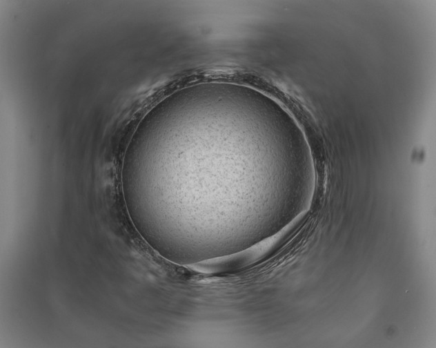 X0000091221445200708161646