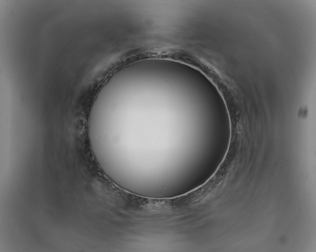 X0000091221447200708161646