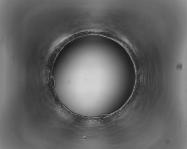 X0000091221448200708161646