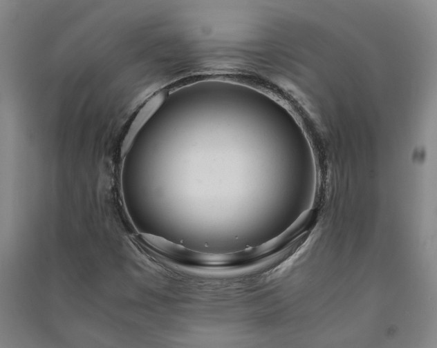 X0000091221449200708161646