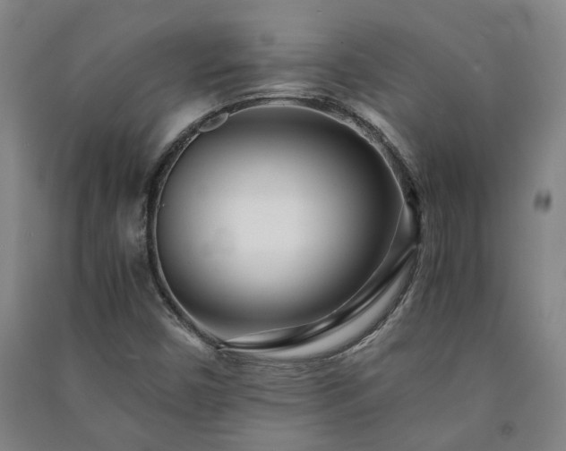 X0000091221450200708161646