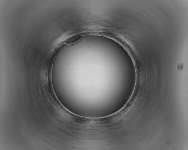 X0000091221451200708161646