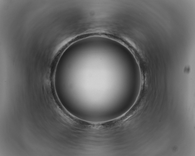 X0000091221452200708161646