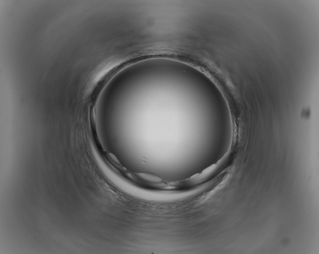 X0000091221453200708161646