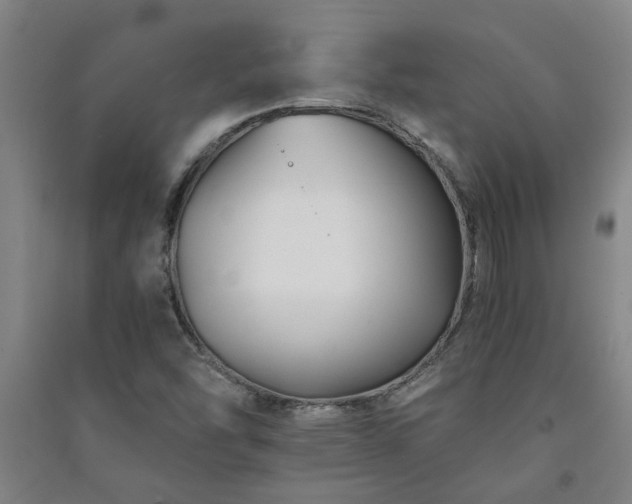 X0000091221454200708161646