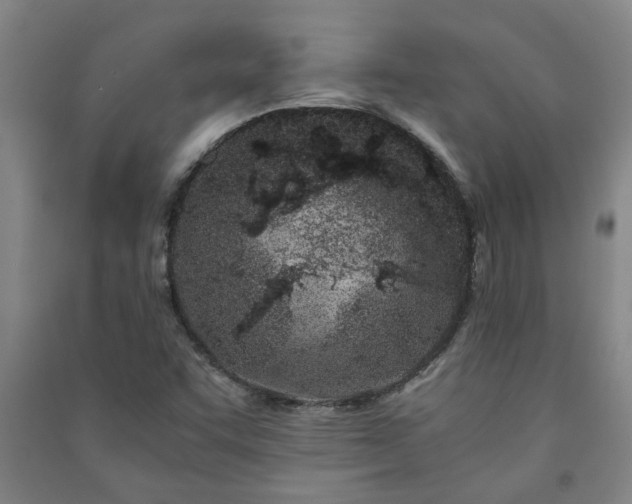 X0000091221455200708161646