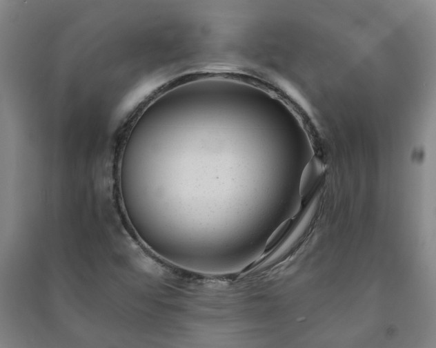 X0000091221456200708161646