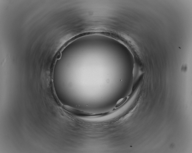 X0000091221457200708161646