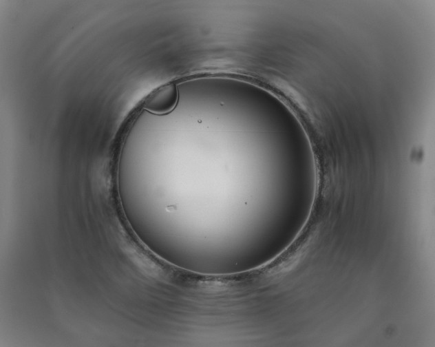 X0000091221458200708161646