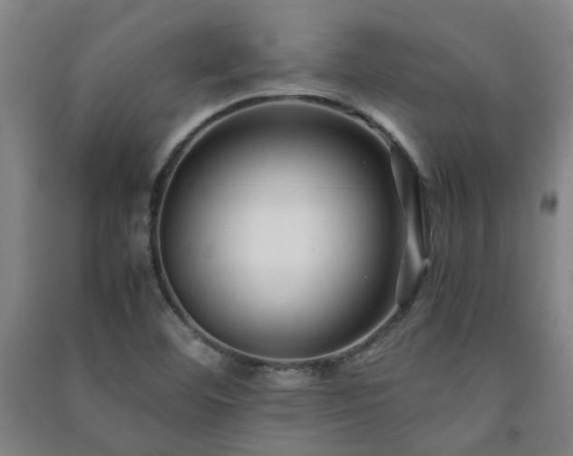 X0000091221460200708161646